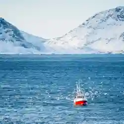 Verdens vakreste kystcruise – Norwegian Adventure Company